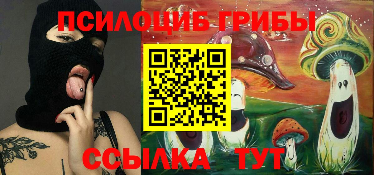 Коркино  Галлюциногенные грибы MAGIC MUSHROOMS  Вход с VPN  Галлюциногенные грибы GOLDEN TEACHER 